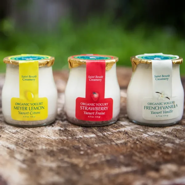 Custom Glass Jars for Yogurt