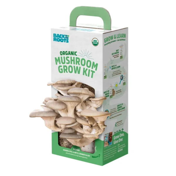 mushroom growing box